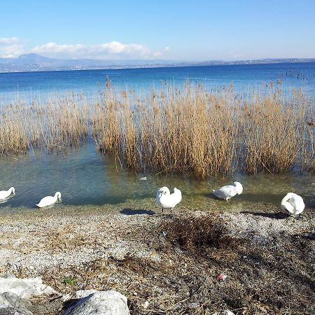 Colombare Di Sirmione Debora Maison B&B المظهر الخارجي الصورة