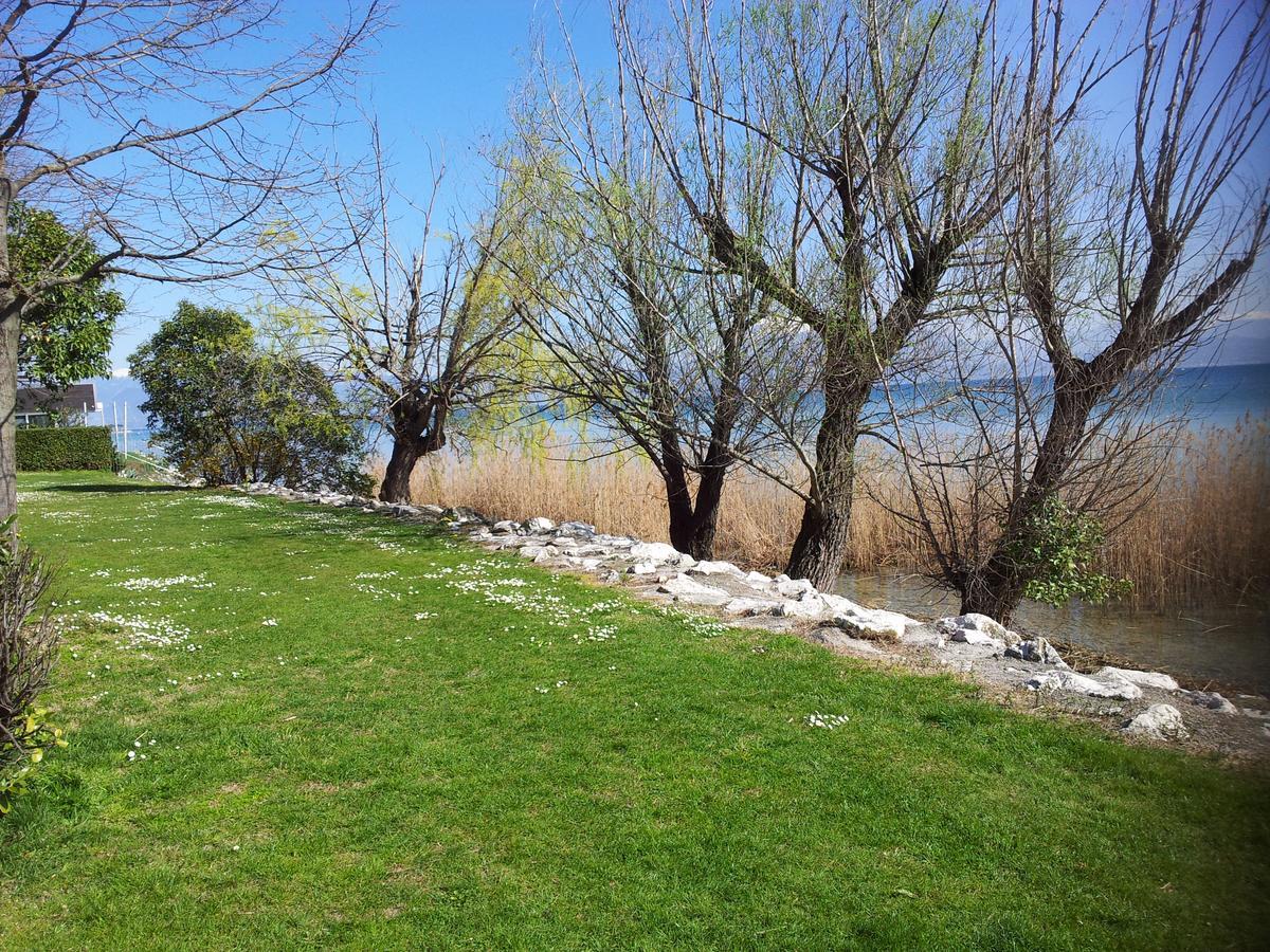 Colombare Di Sirmione Debora Maison B&B المظهر الخارجي الصورة