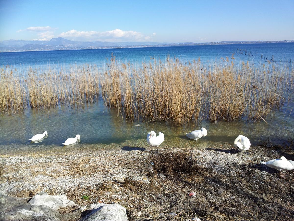 Colombare Di Sirmione Debora Maison B&B المظهر الخارجي الصورة