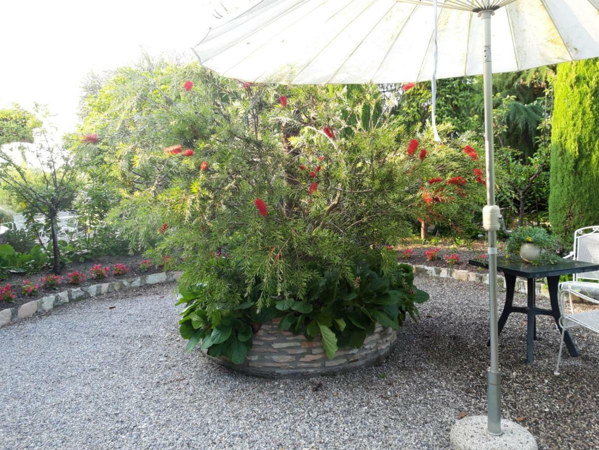 Colombare Di Sirmione Debora Maison B&B المظهر الخارجي الصورة